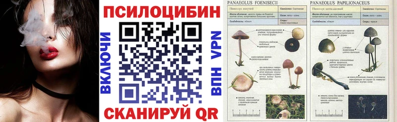 Псилоцибиновые грибы прущие грибы  где можно купить наркотик  blacksprut как войти  Мамоново 