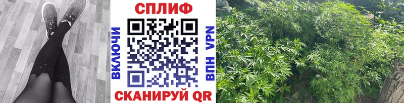 Марихуана THC 21%  купить закладку  Мамоново 